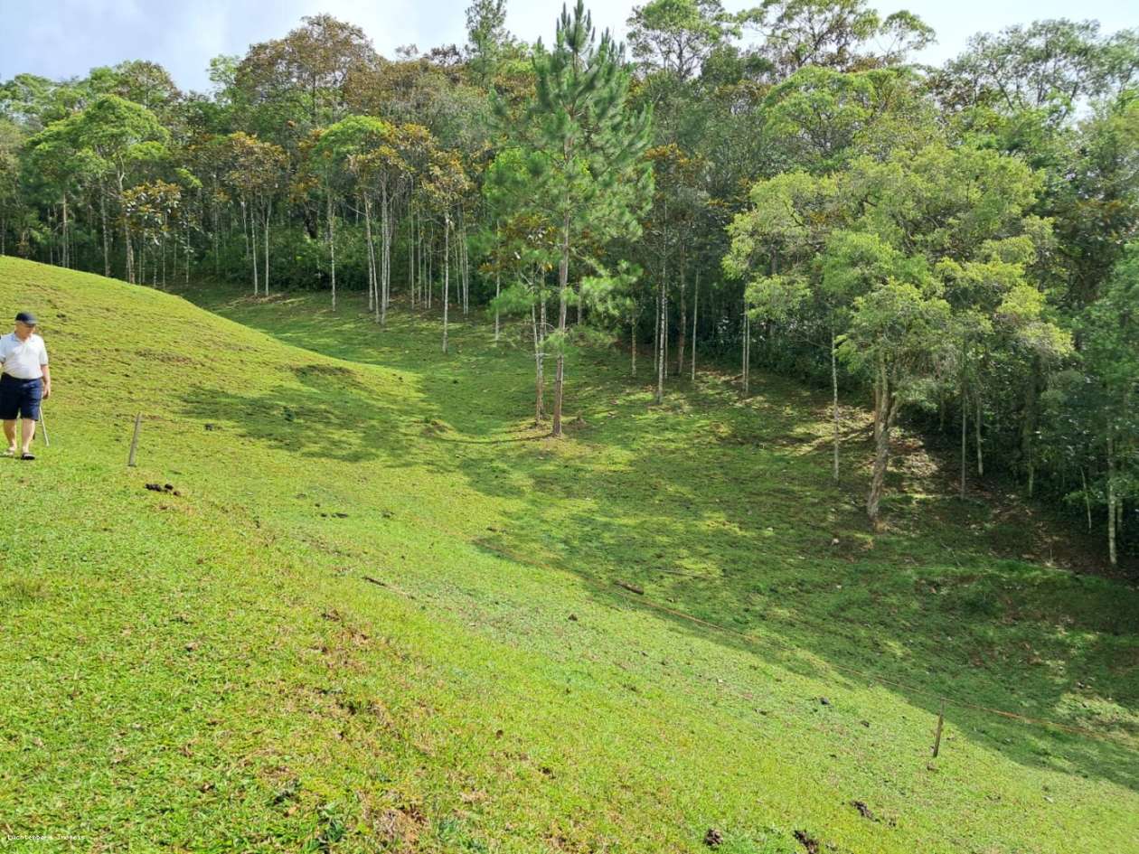 Chácara, 3 hectares - Foto 41