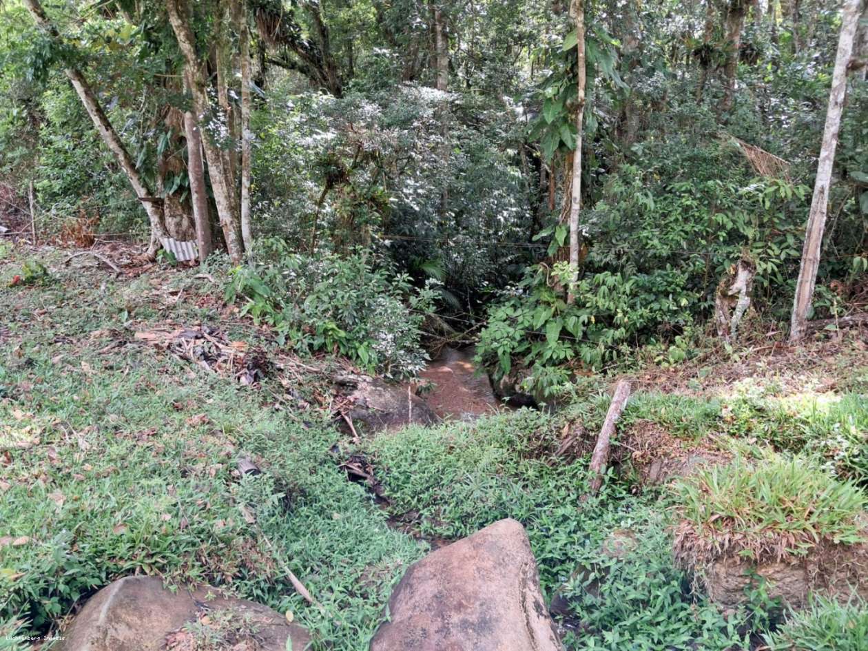 Chácara, 3 hectares - Foto 43