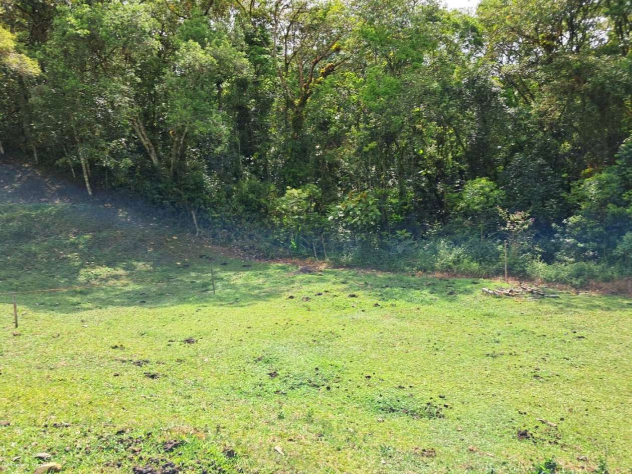 Chácara, 3 hectares - Foto 42