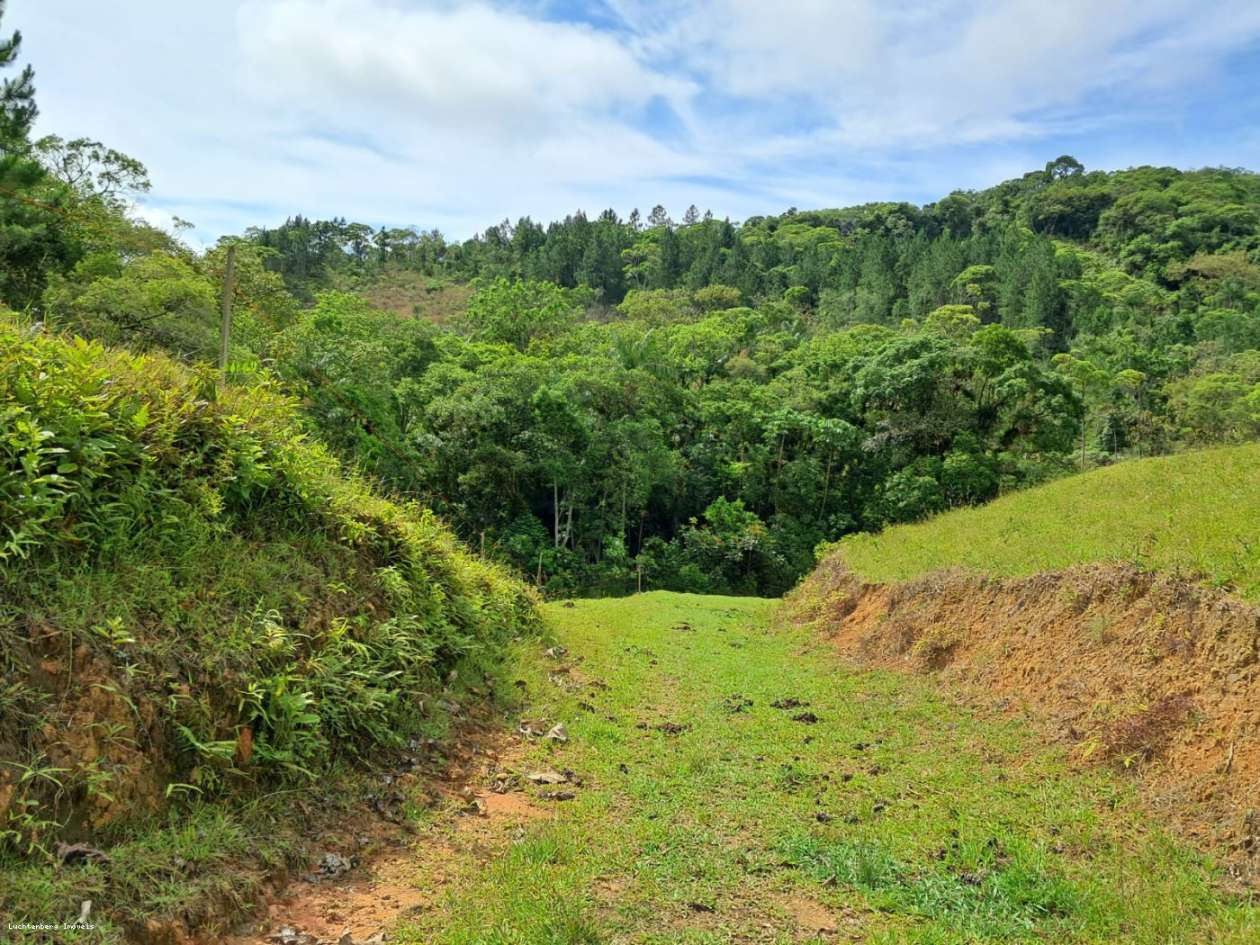 Chácara, 3 hectares - Foto 44