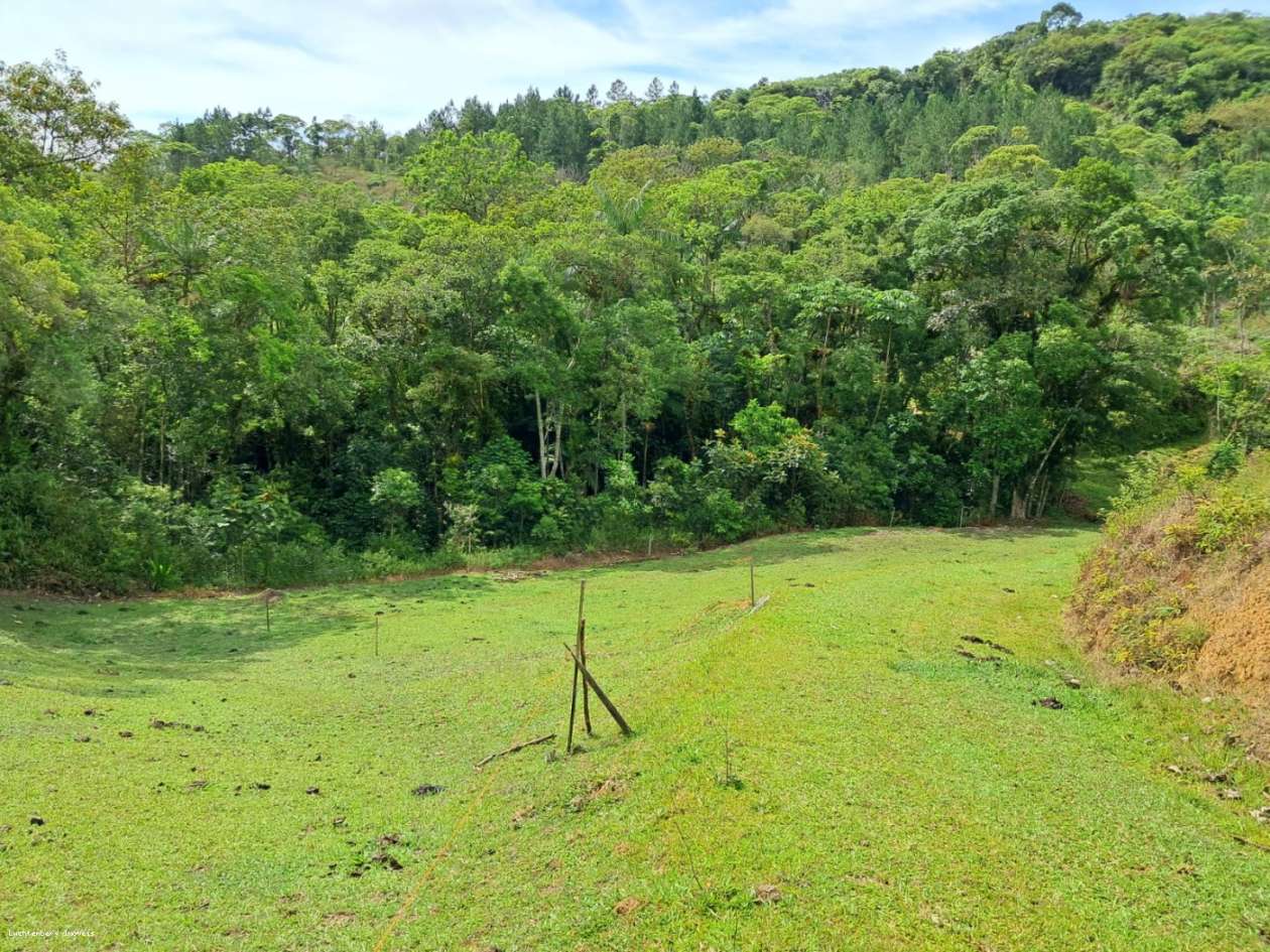 Chácara, 3 hectares - Foto 46