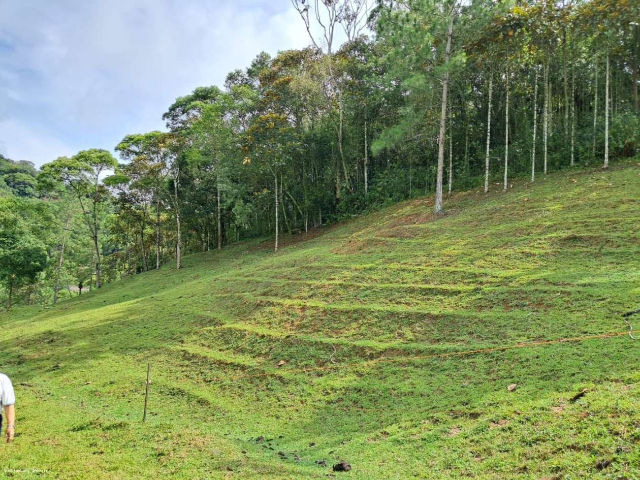 Chácara, 3 hectares - Foto 45