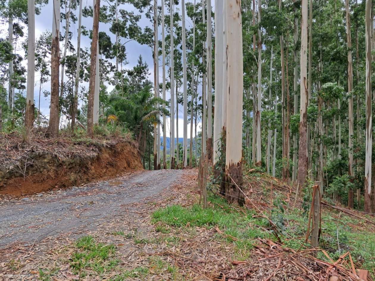 Chácara, 7 hectares - Foto 6