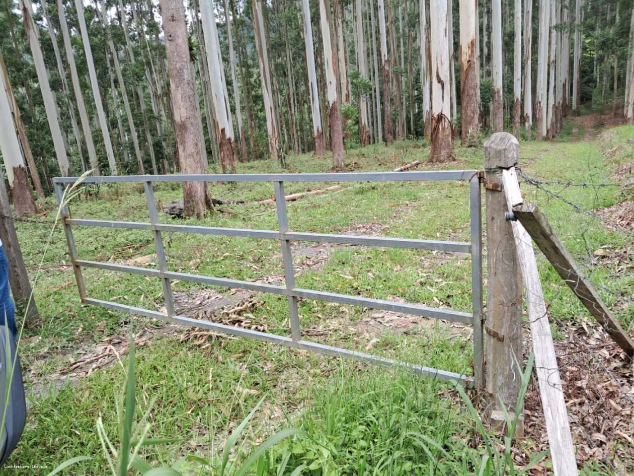 Chácara, 7 hectares - Foto 7