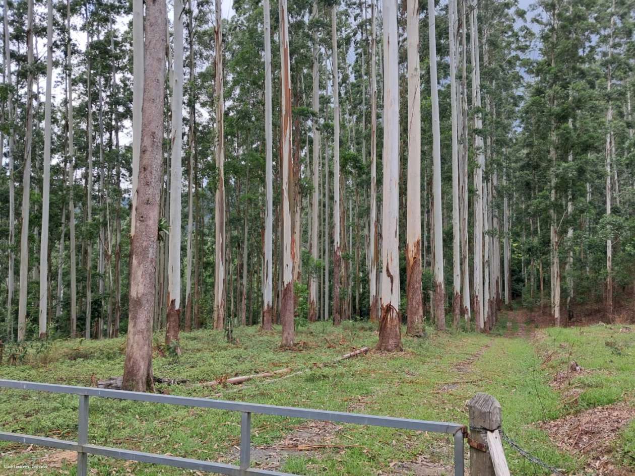 Chácara, 7 hectares - Foto 9