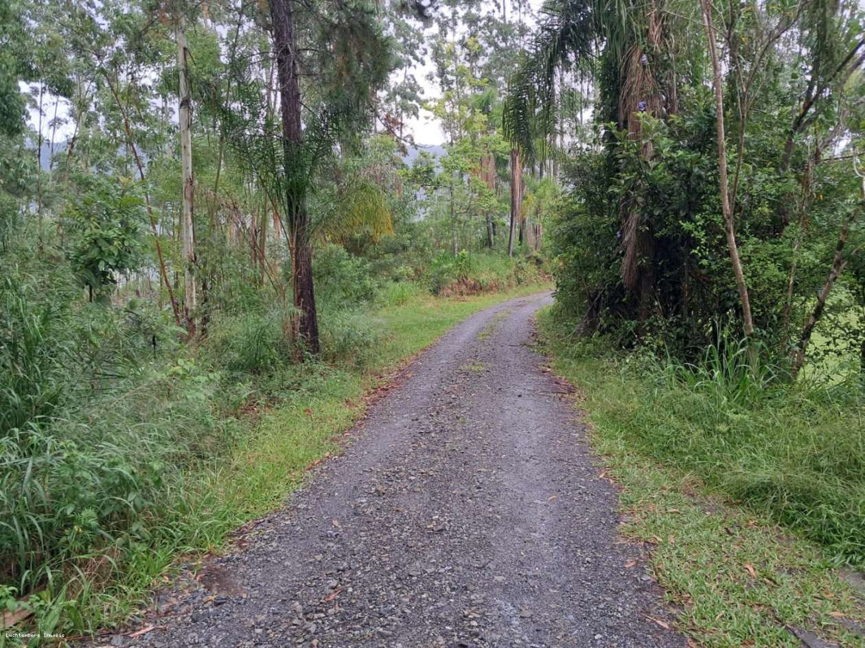 Chácara, 7 hectares - Foto 13