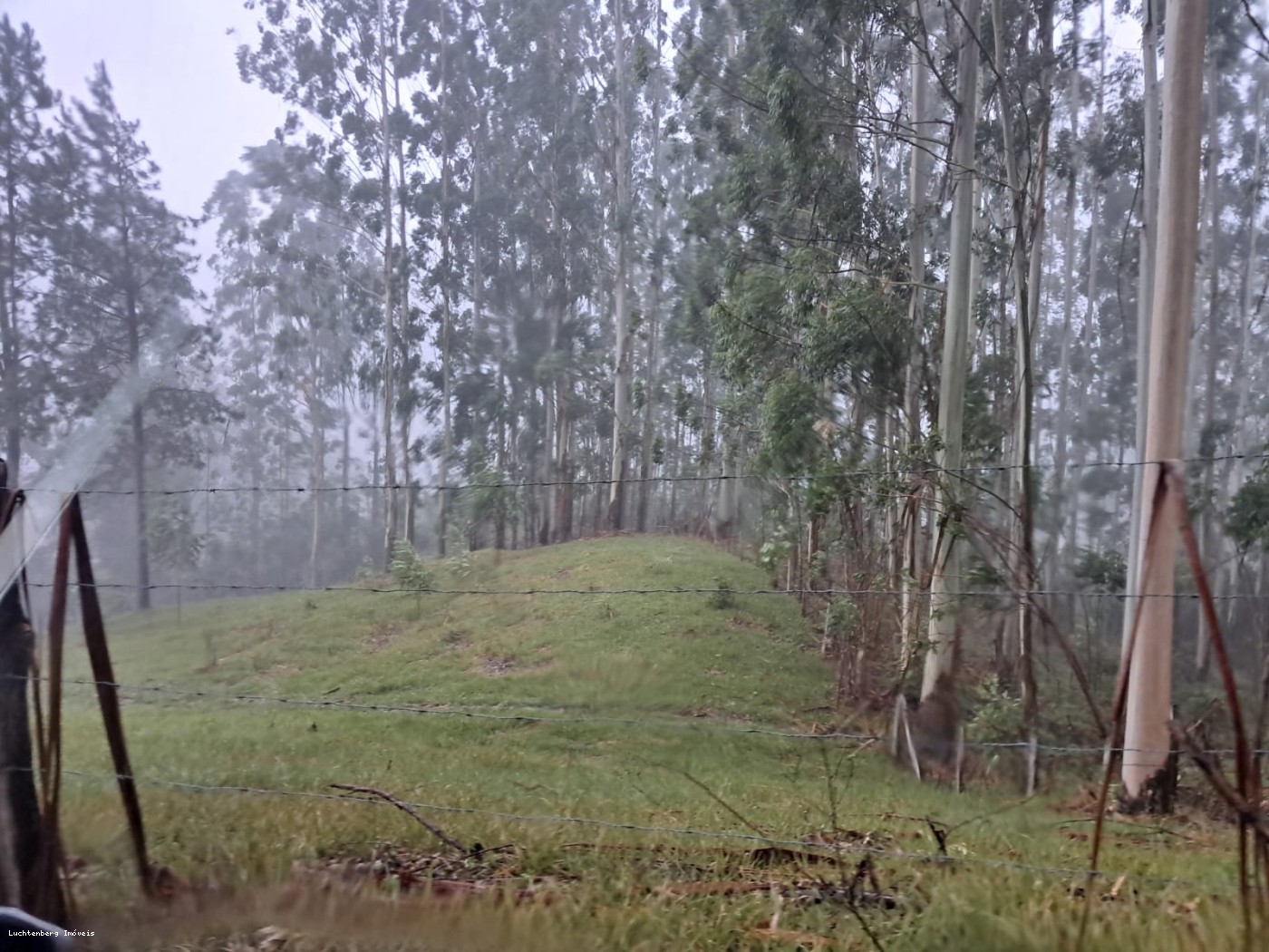 Chácara, 7 hectares - Foto 17