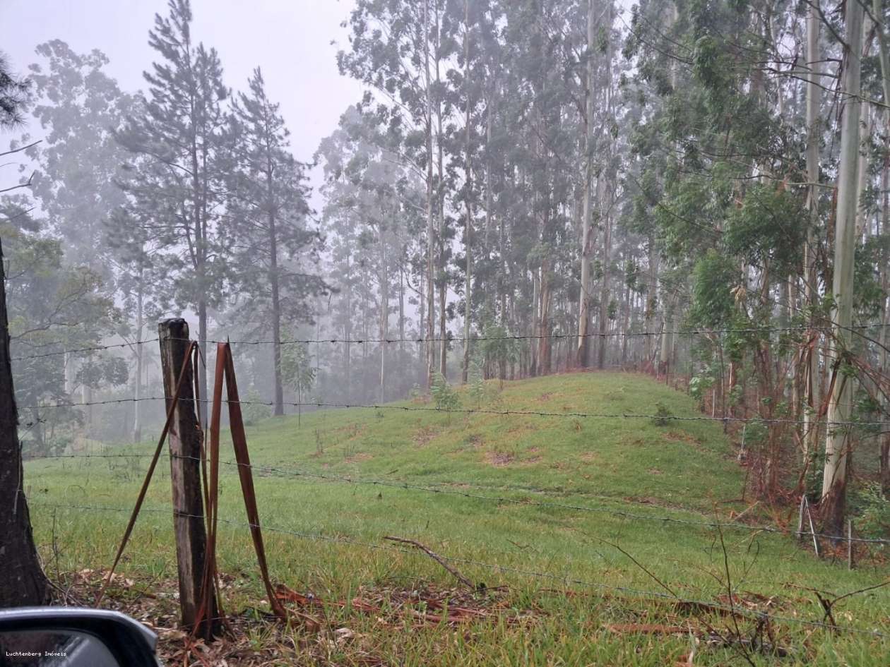 Chácara, 7 hectares - Foto 16