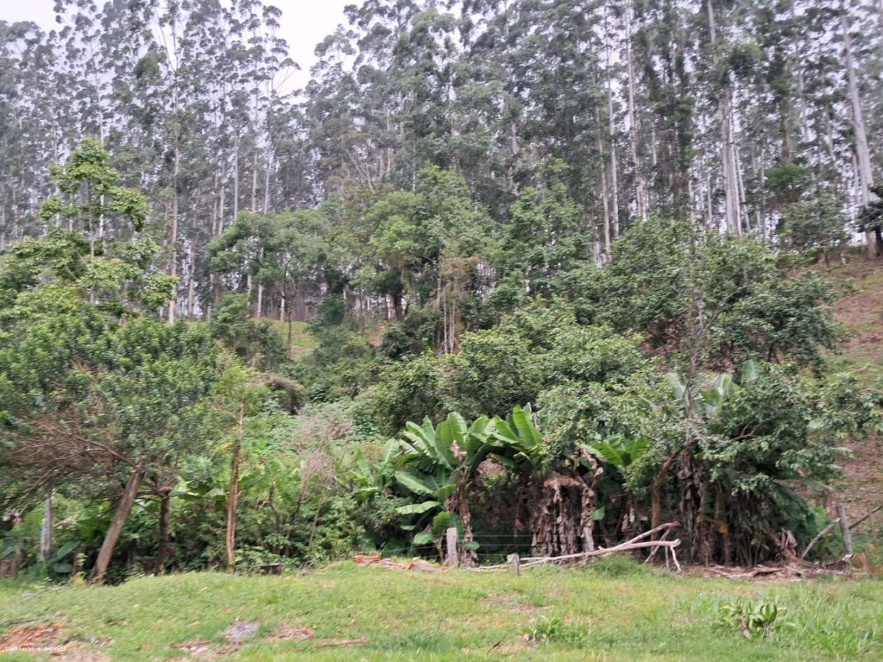 Chácara, 7 hectares - Foto 20