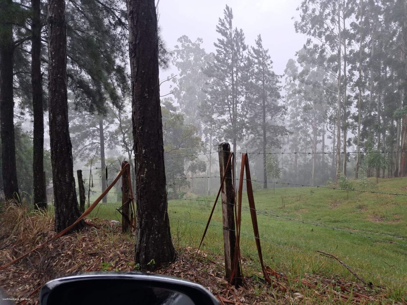 Chácara, 7 hectares - Foto 23