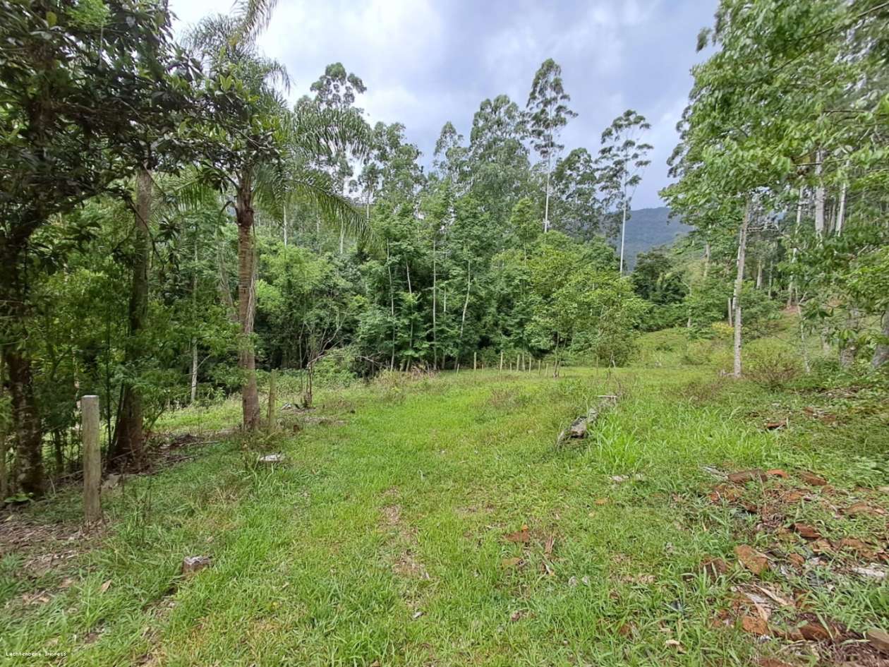 Chácara, 7 hectares - Foto 24