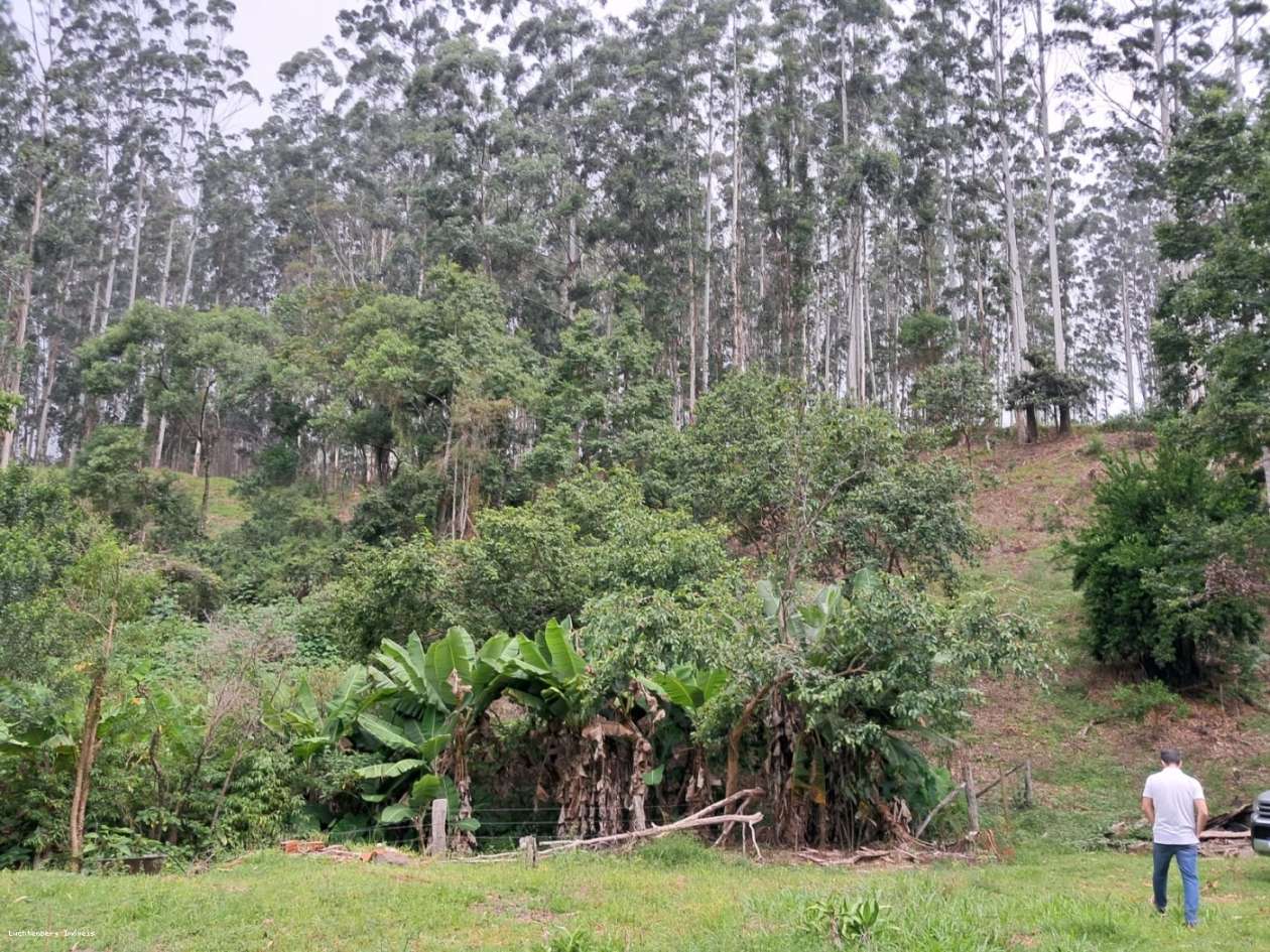 Chácara, 7 hectares - Foto 27