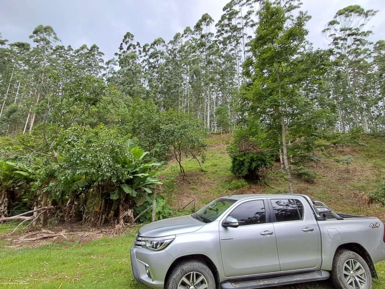 Chácara, 7 hectares - Foto 28