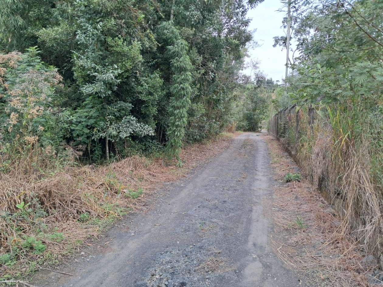 Chácara, 7000 m² - Foto 8