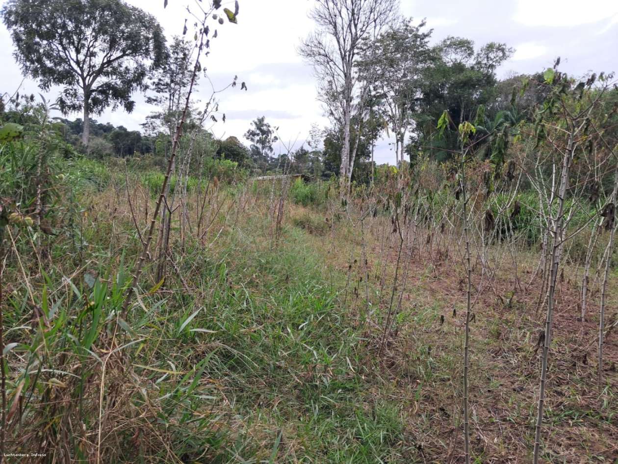 Chácara, 7000 m² - Foto 11