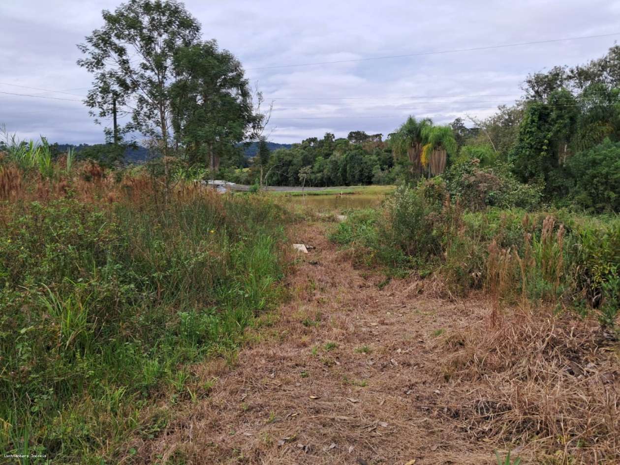 Chácara, 7000 m² - Foto 14