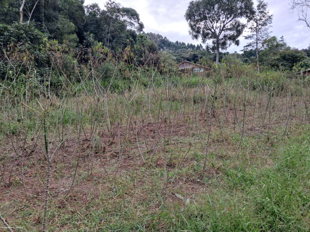 Chácara, 7000 m² - Foto 16