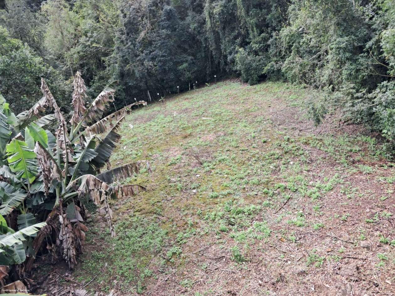 Casa, 3 quartos, 248 m² - Foto 24
